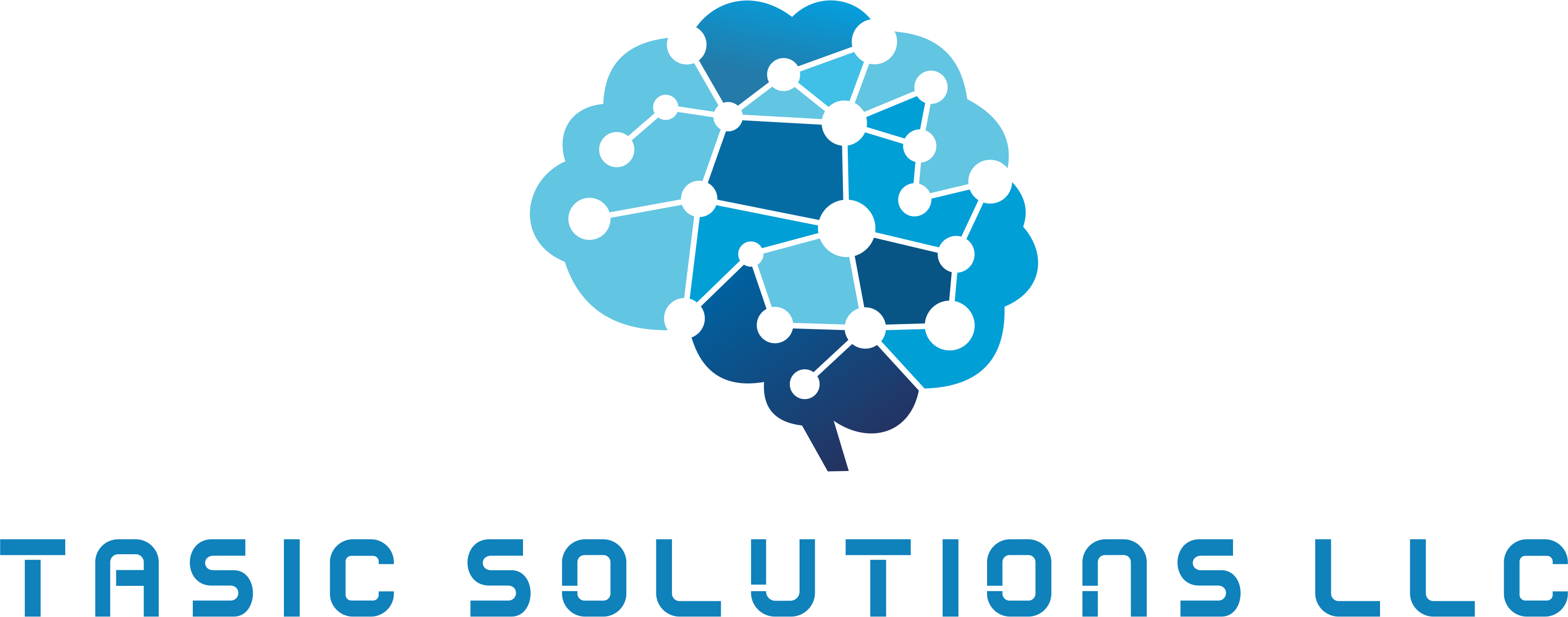 Tasic Solutions LLC